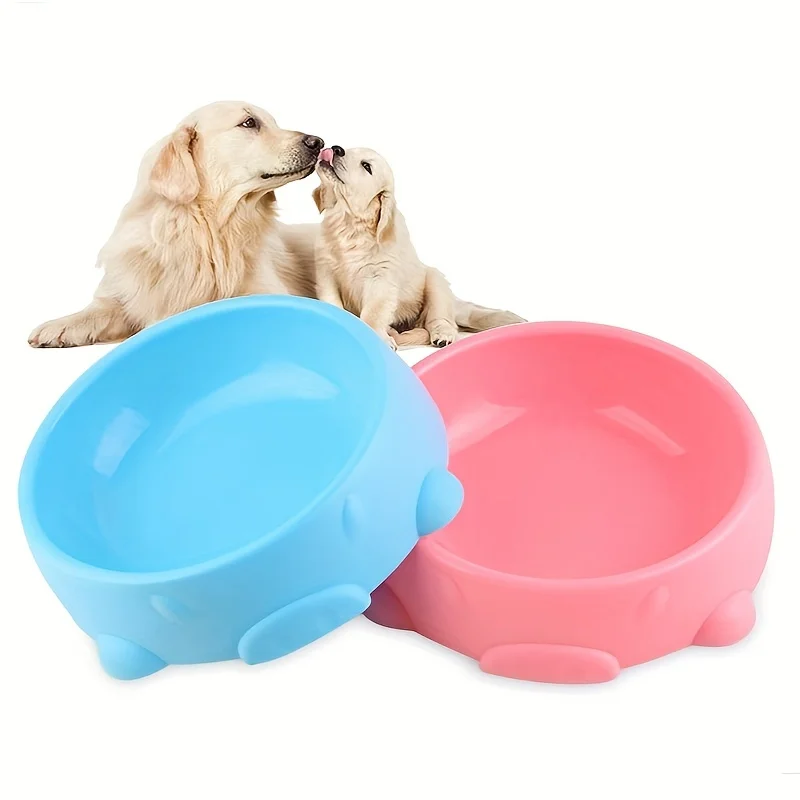 Dog Bowls for Food and Water P – Spicy Food Snacks recenzja i cena