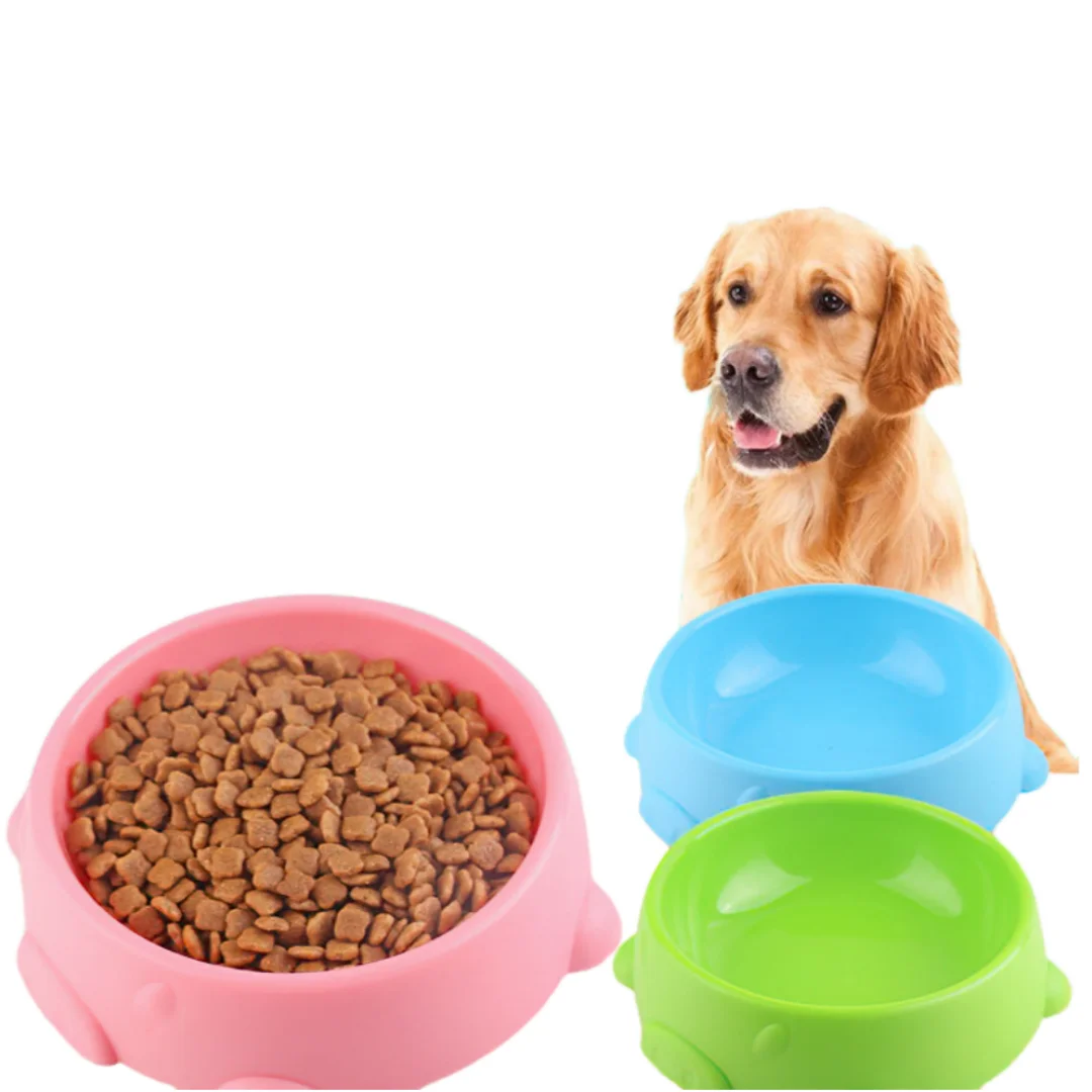 Dog Bowls for Food and Water P – Spicy Food Snacks recenzja i cena